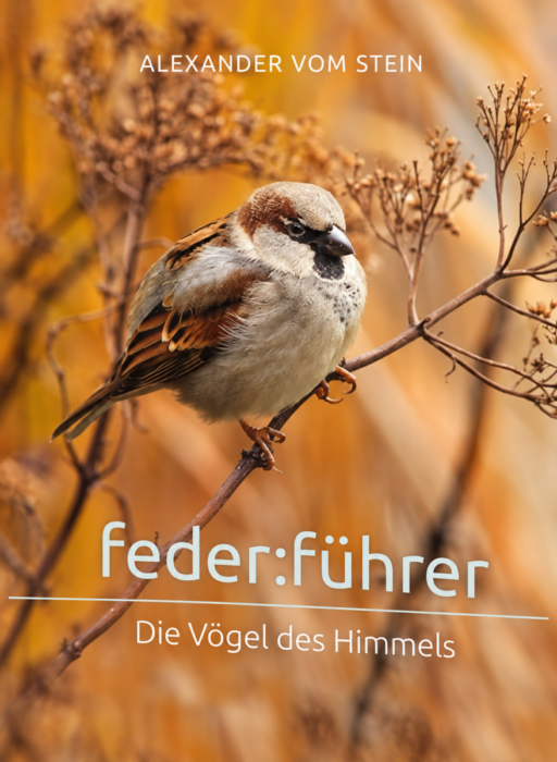 Empfehlungen - Christliche Bücherstube federführer
